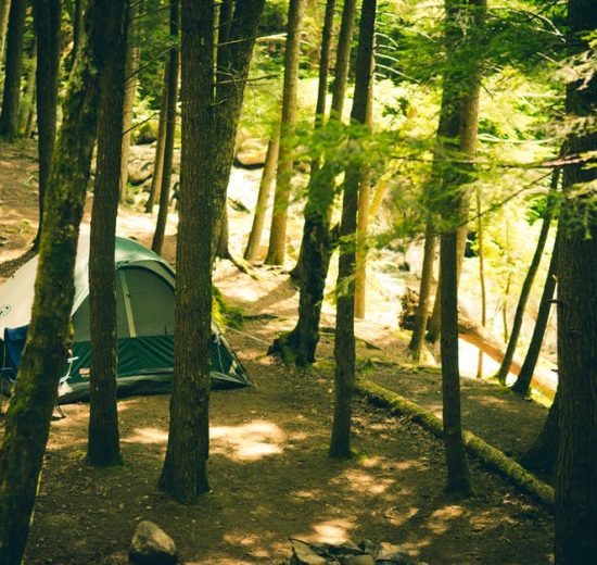 Leukste sportieve campings in Frankrijk